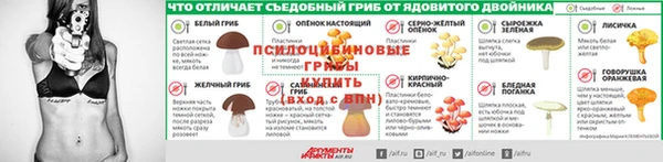 мет Дмитриев
