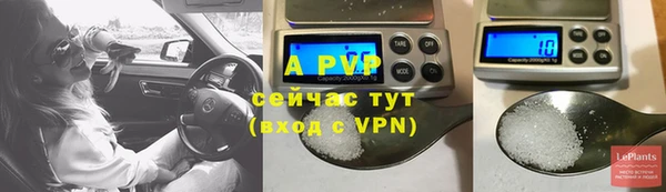 спиды Осинники