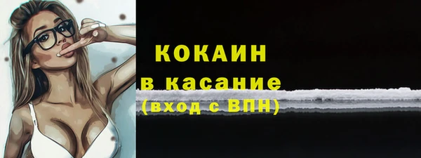 мет Дмитриев