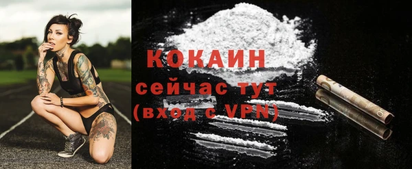 дживик Дмитровск