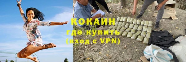 мет Дмитриев