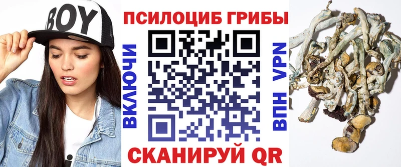 Галлюциногенные грибы MAGIC MUSHROOMS  магазин продажи наркотиков  Ельня 